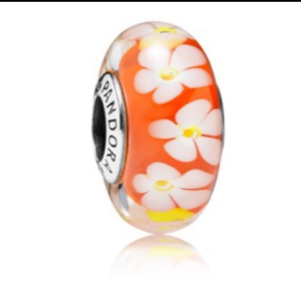 Retired Pandora Charm